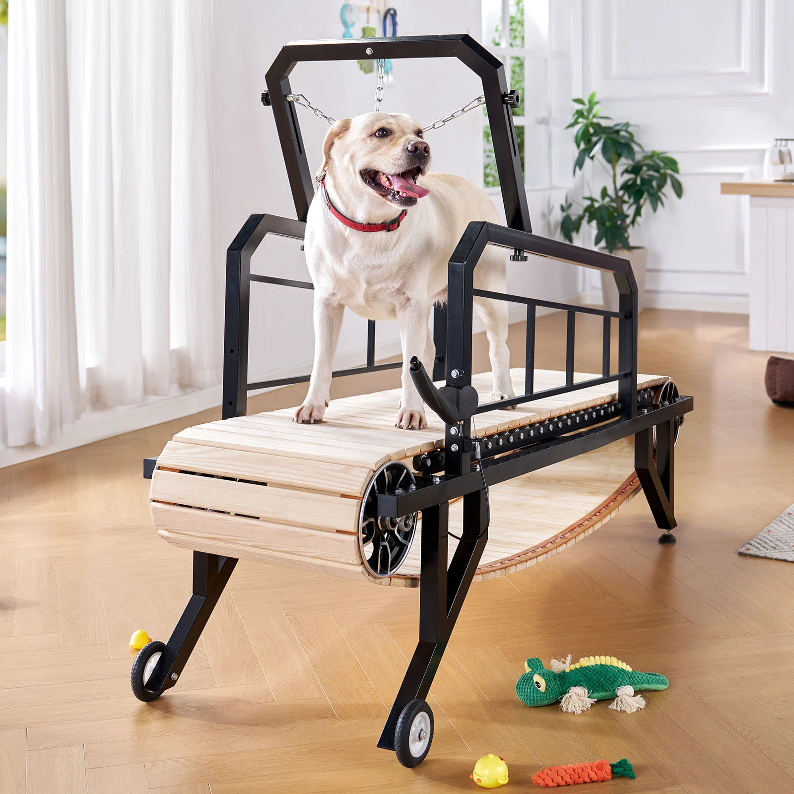 dog+treadmill+with+hand+brake+–+supports+dogs+up+to+300lbs