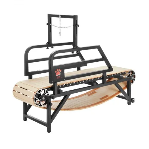 dog treadmill m100 10